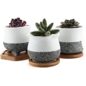 maceteros ceramica cactus